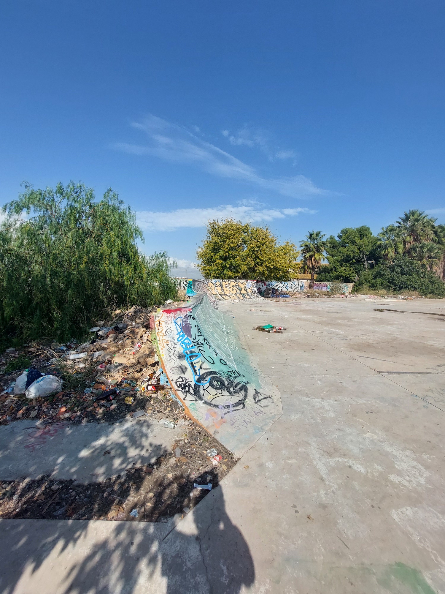 Cementerio DIY skatepark